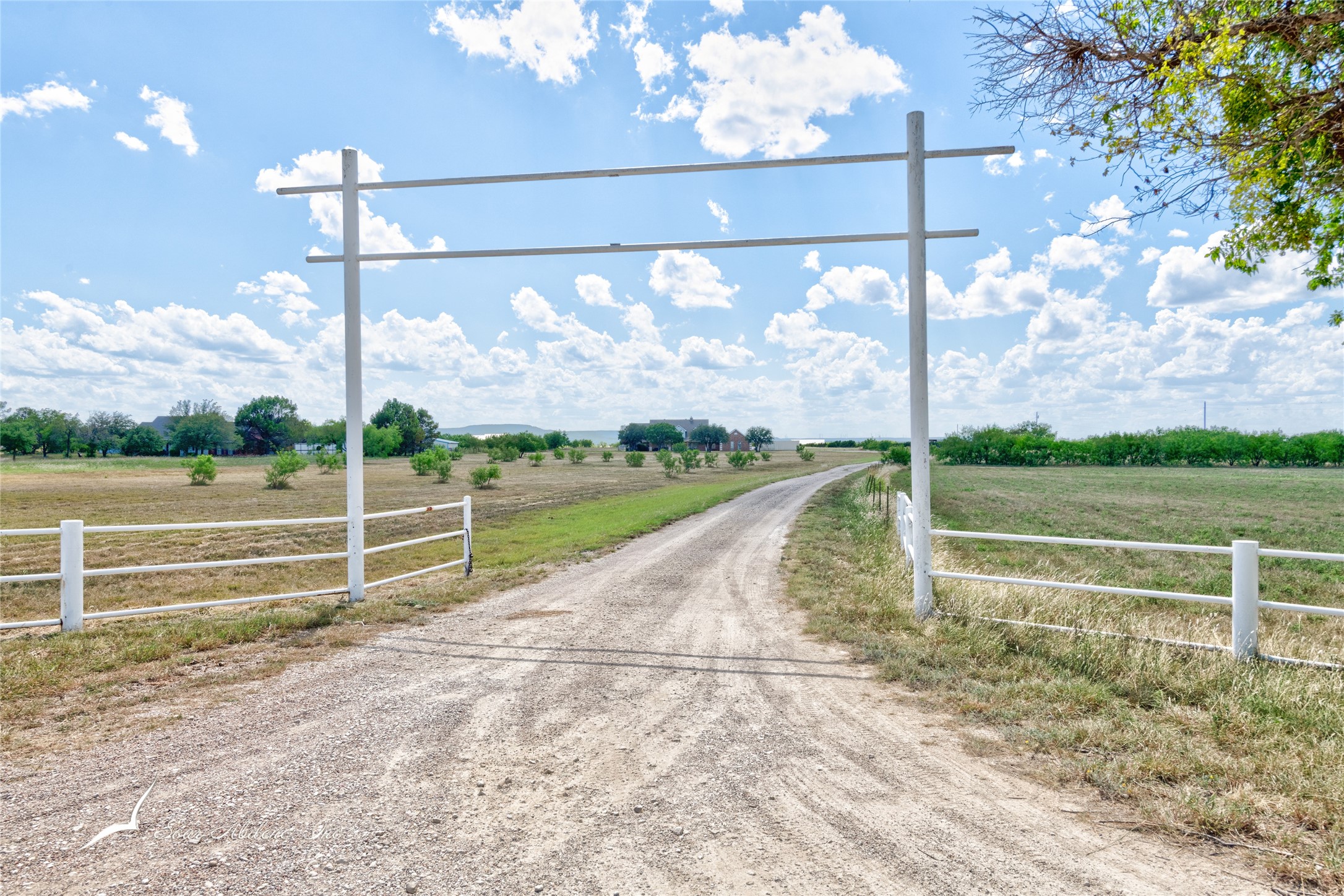 374 County Road 336 Tuscola TX 79562