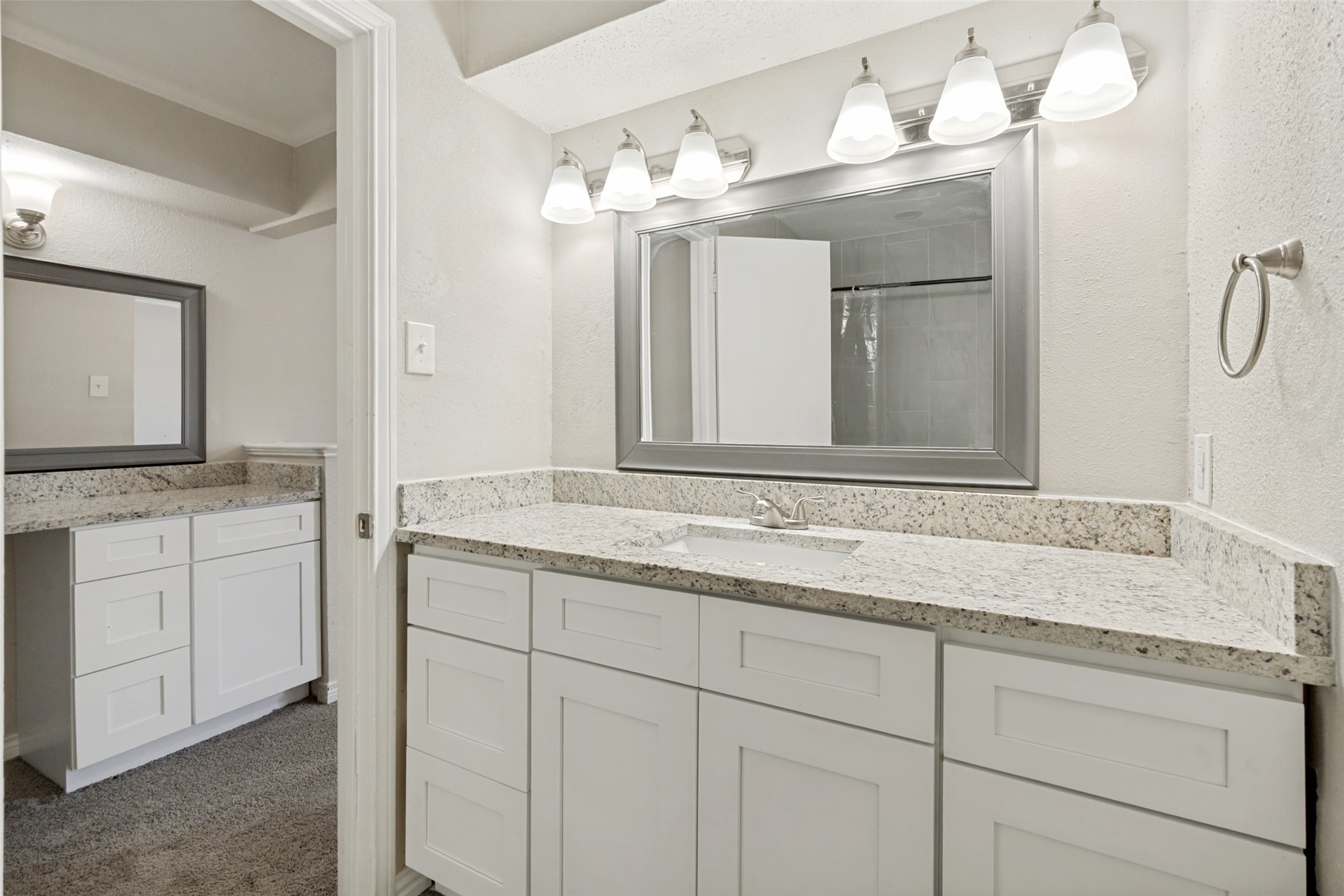 1317 Mount Vernon Drive Mesquite TX 75149