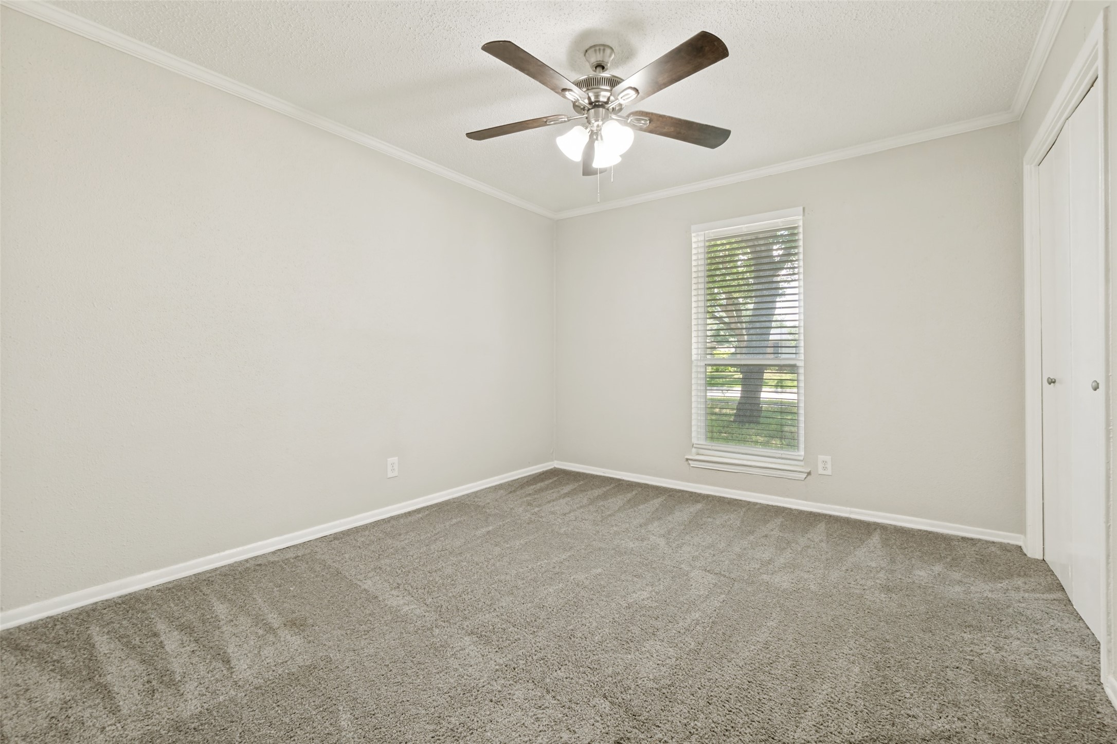 1317 Mount Vernon Drive Mesquite TX 75149