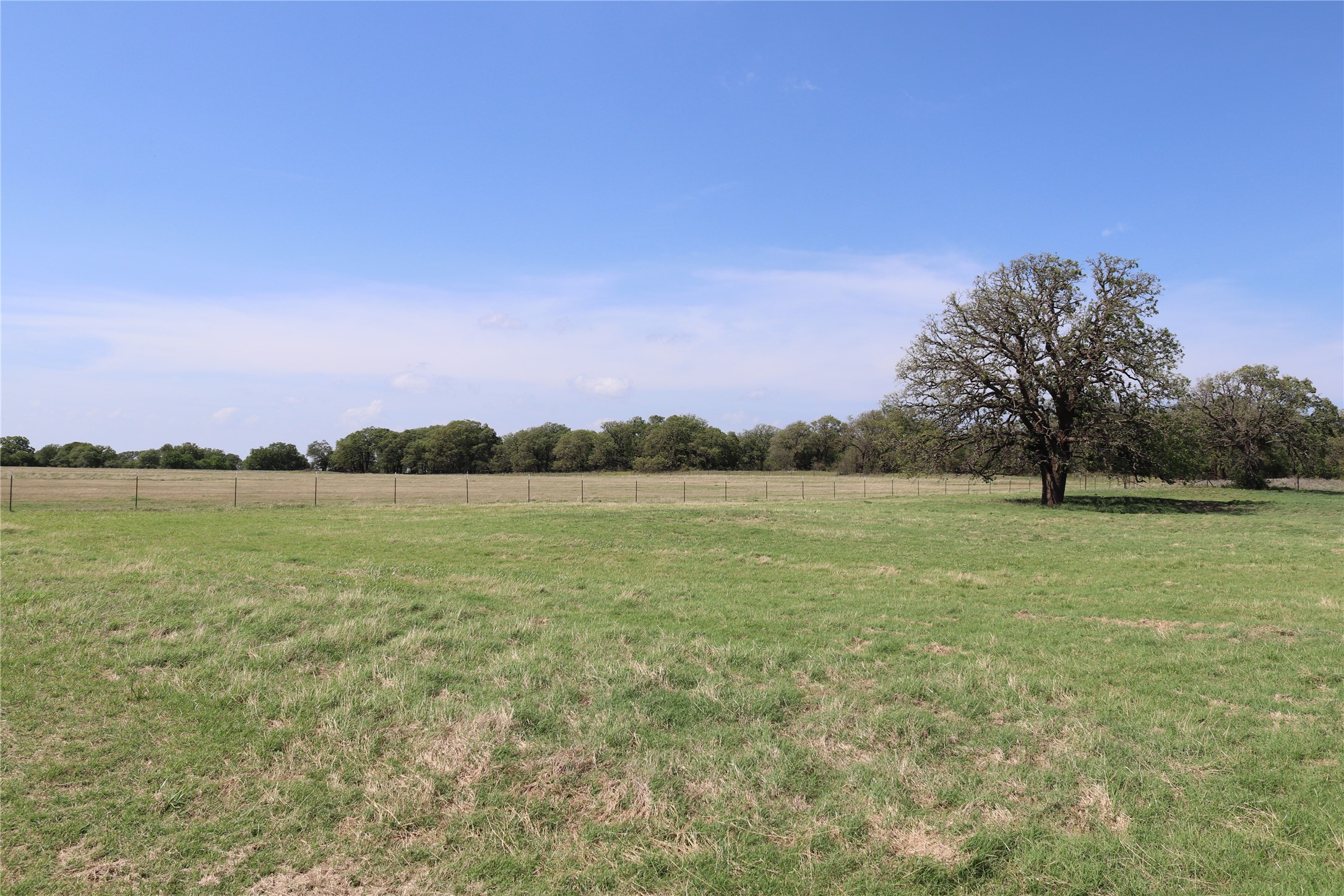 2553 Brixey Road Henrietta TX 76365