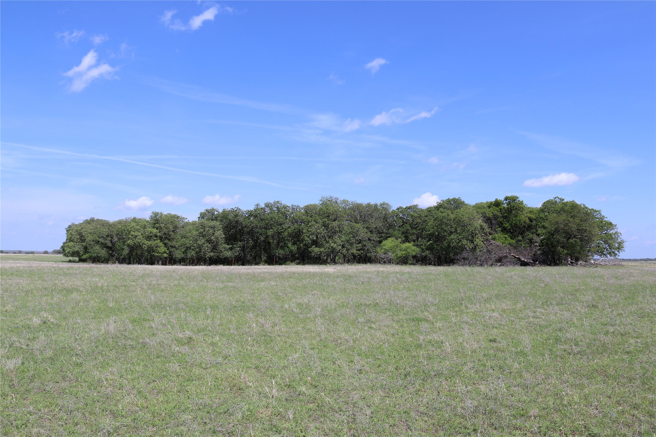 2553 Brixey Road Henrietta TX 76365