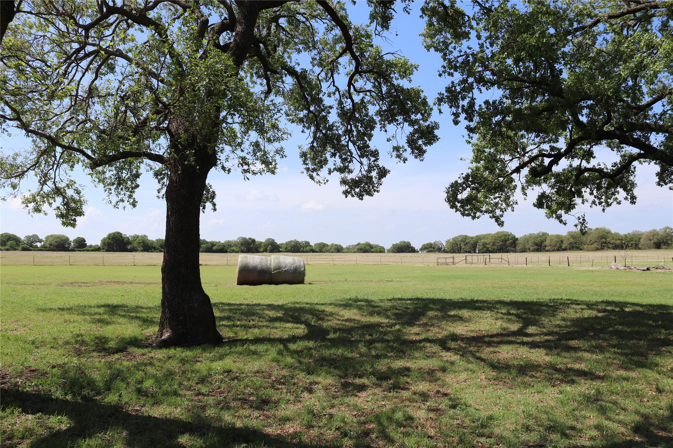 2553 Brixey Road Henrietta TX 76365