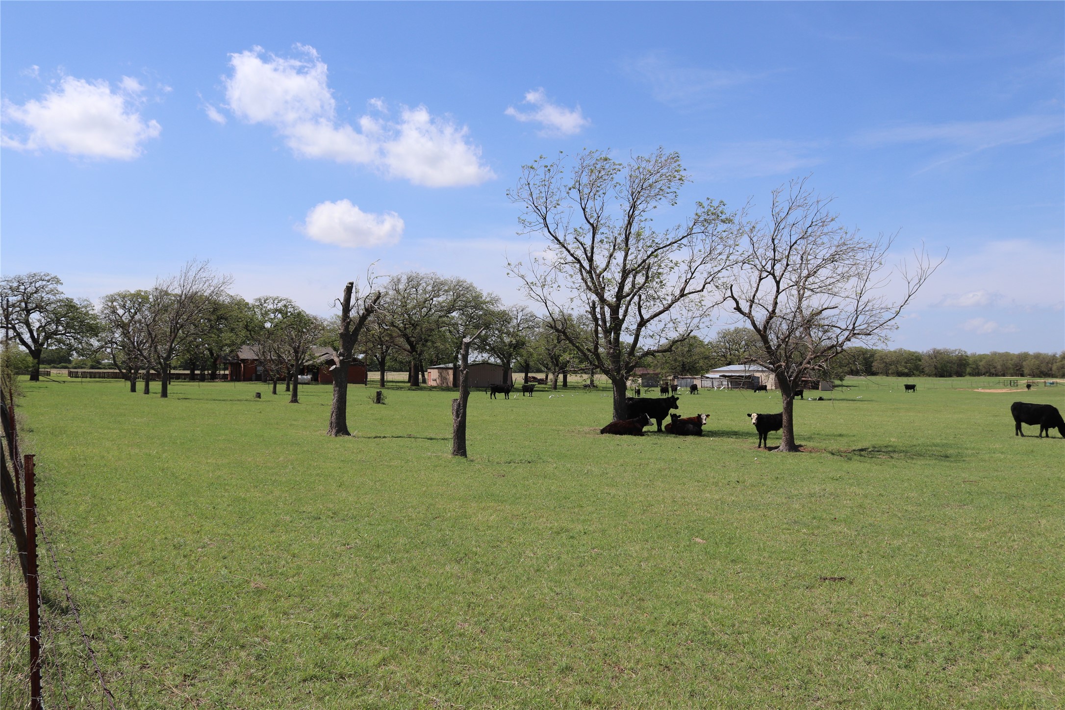 2553 Brixey Road Henrietta TX 76365