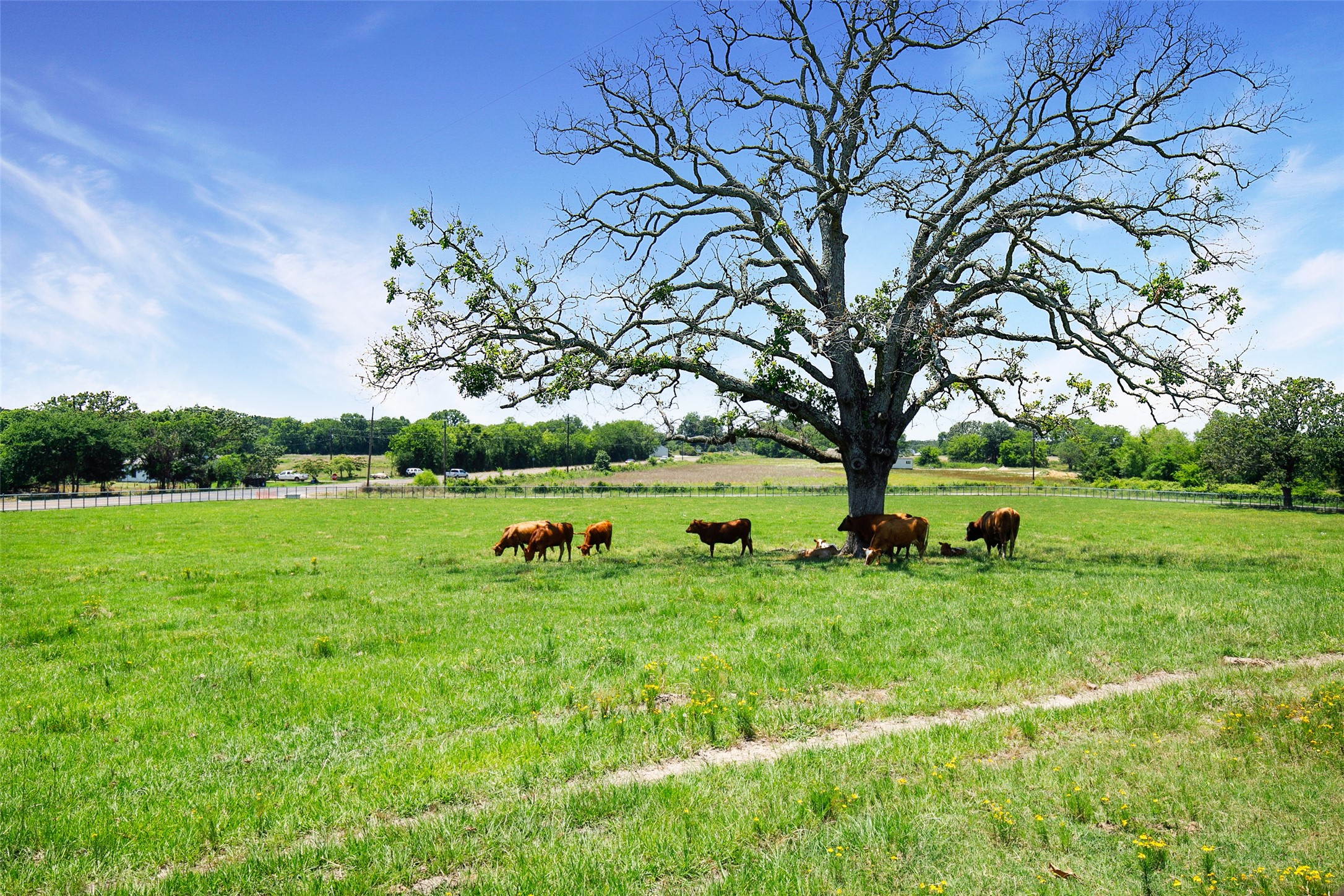 575 County Road 1214 Quitman TX 75783