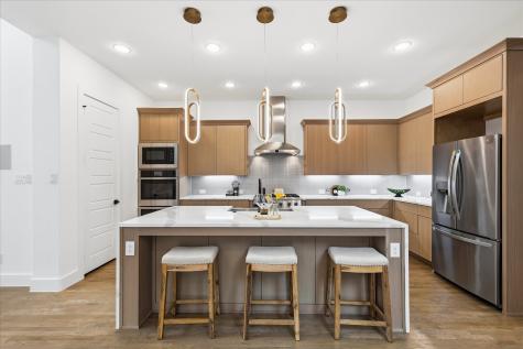3769 Vase Vine Place Frisco TX 75033