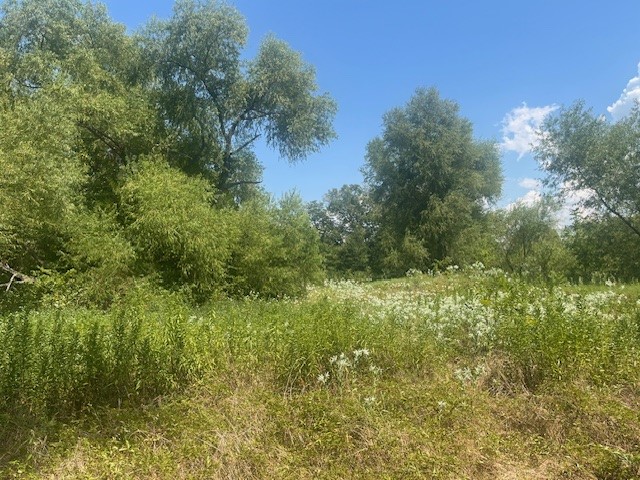455 Fm 71 Commerce TX 75428