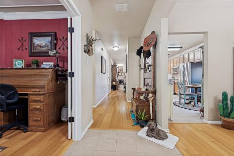 1309 Cedar Springs Drive Allen TX 75002