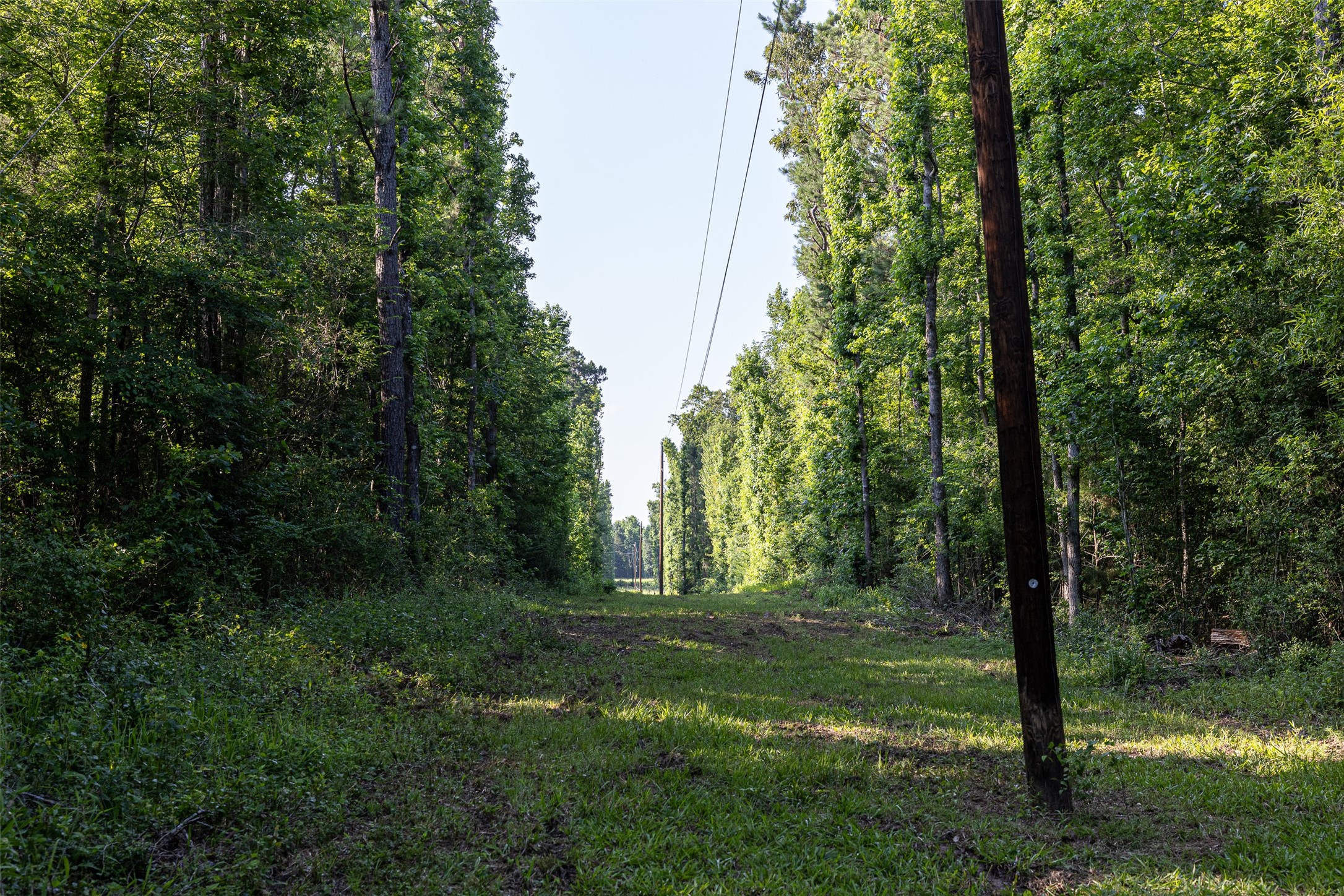 329 County Road 2804 Alto TX 75925