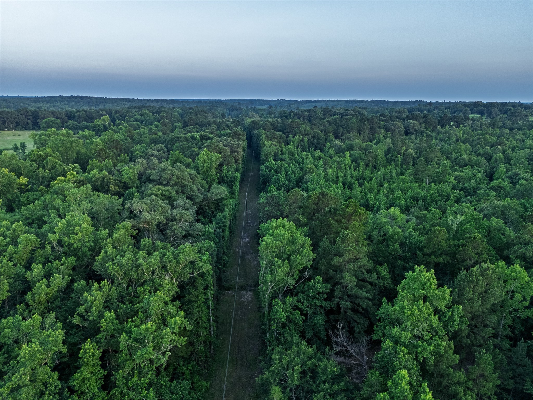 329 County Road 2804 Alto TX 75925