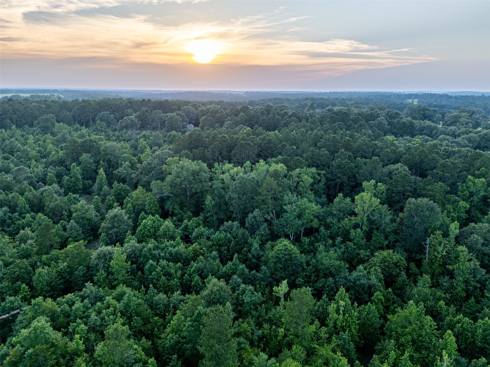 329 County Road 2804 Alto TX 75925