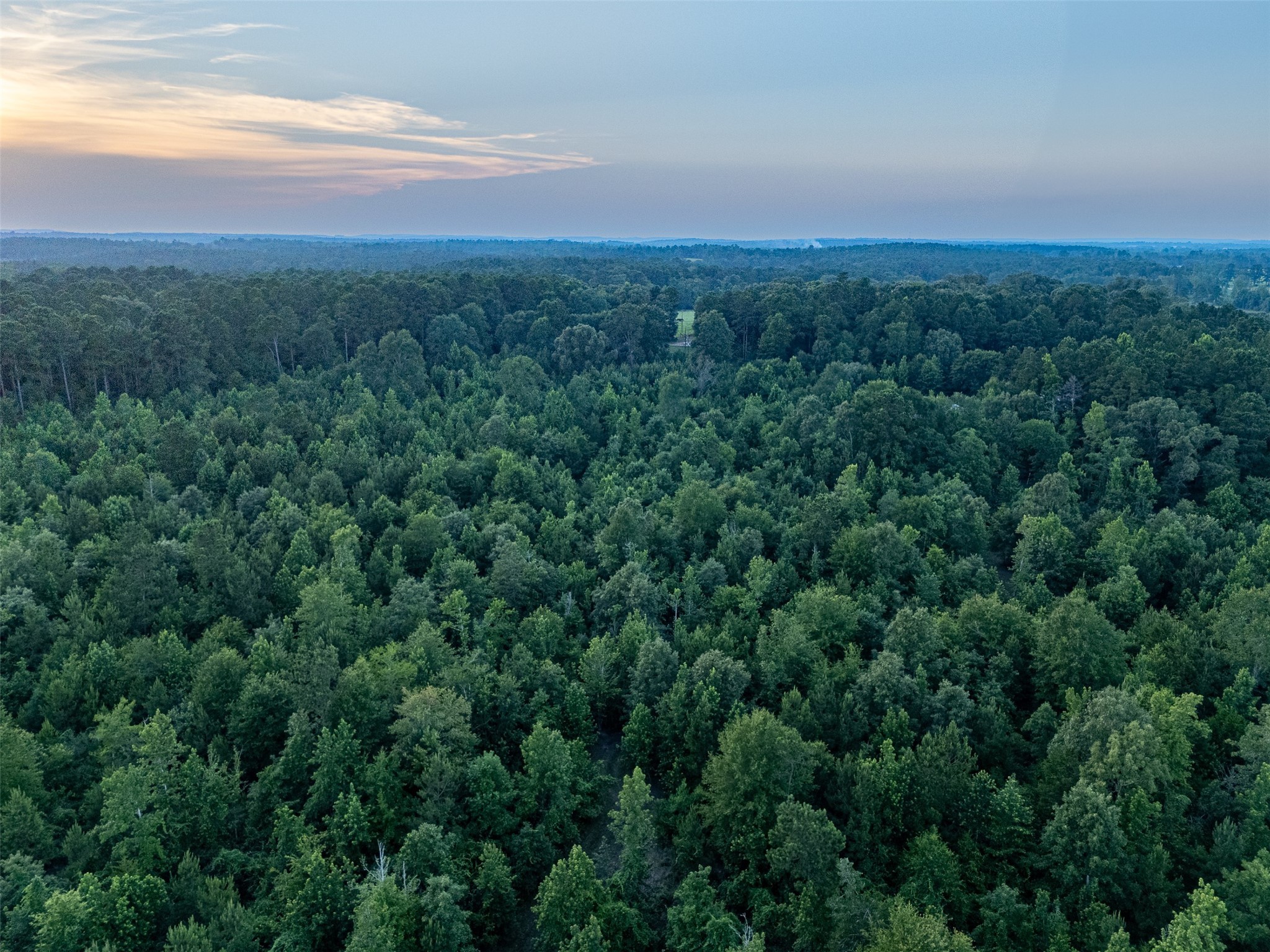 329 County Road 2804 Alto TX 75925