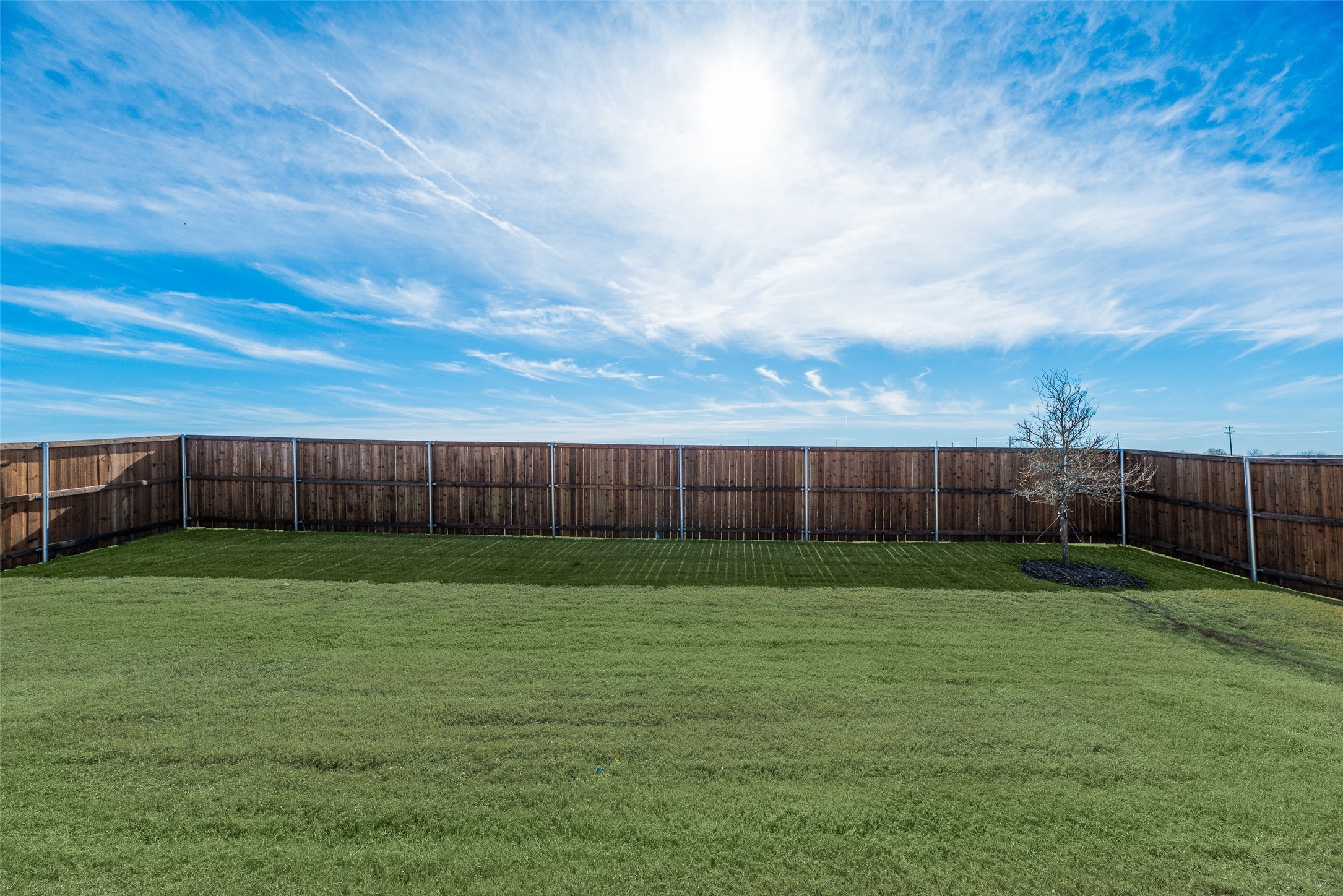 3104 Rock Rose Drive Celina TX 75009