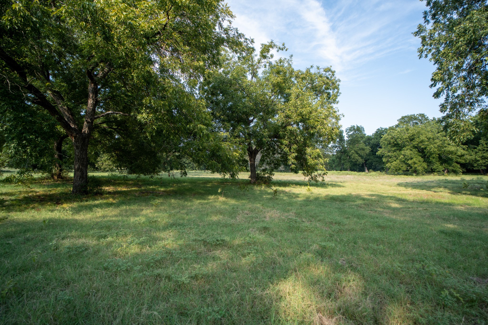 10902 Clear Creek Road W Sanger TX 76266