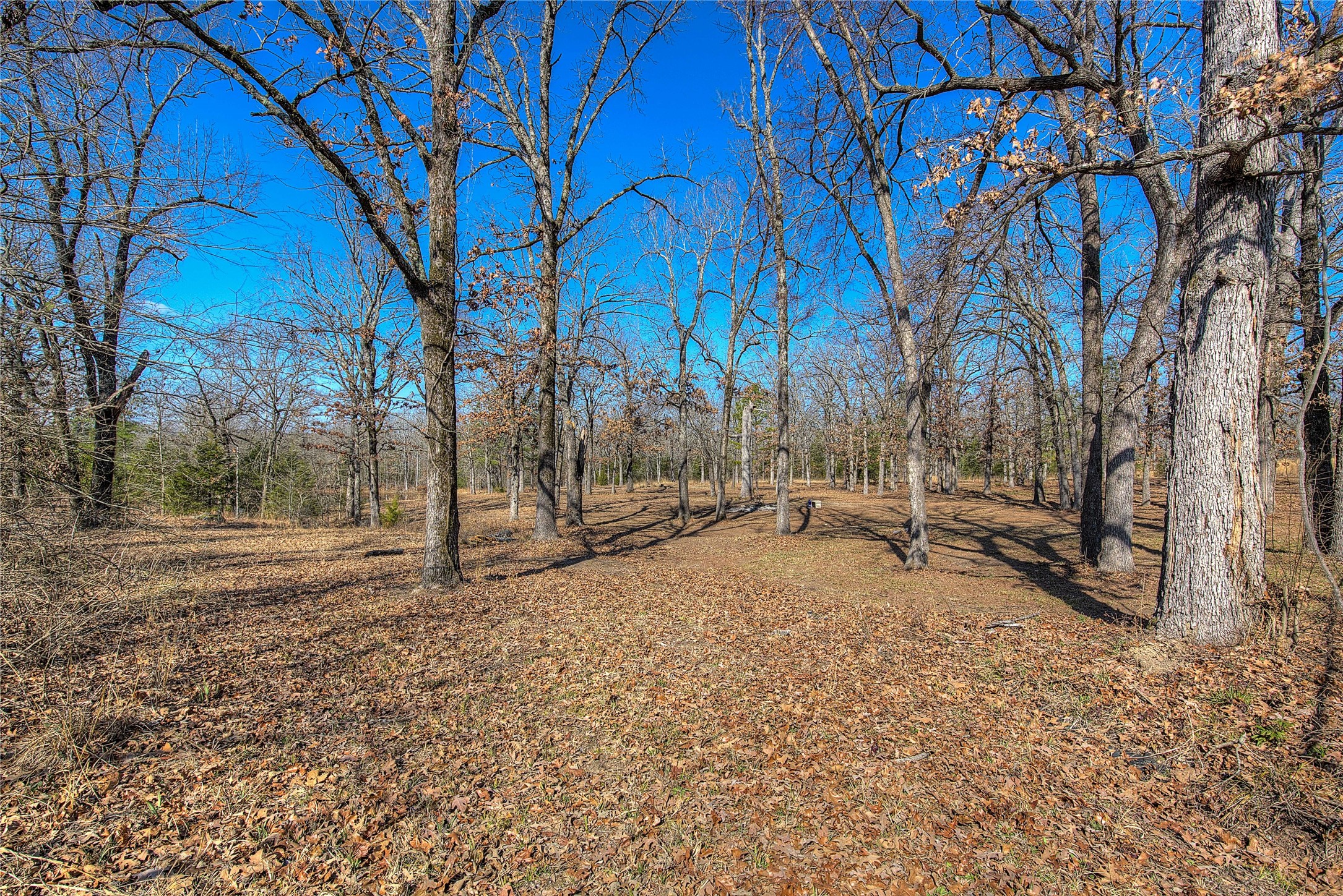 150 Vz County Road 1711 Grand Saline TX 75140