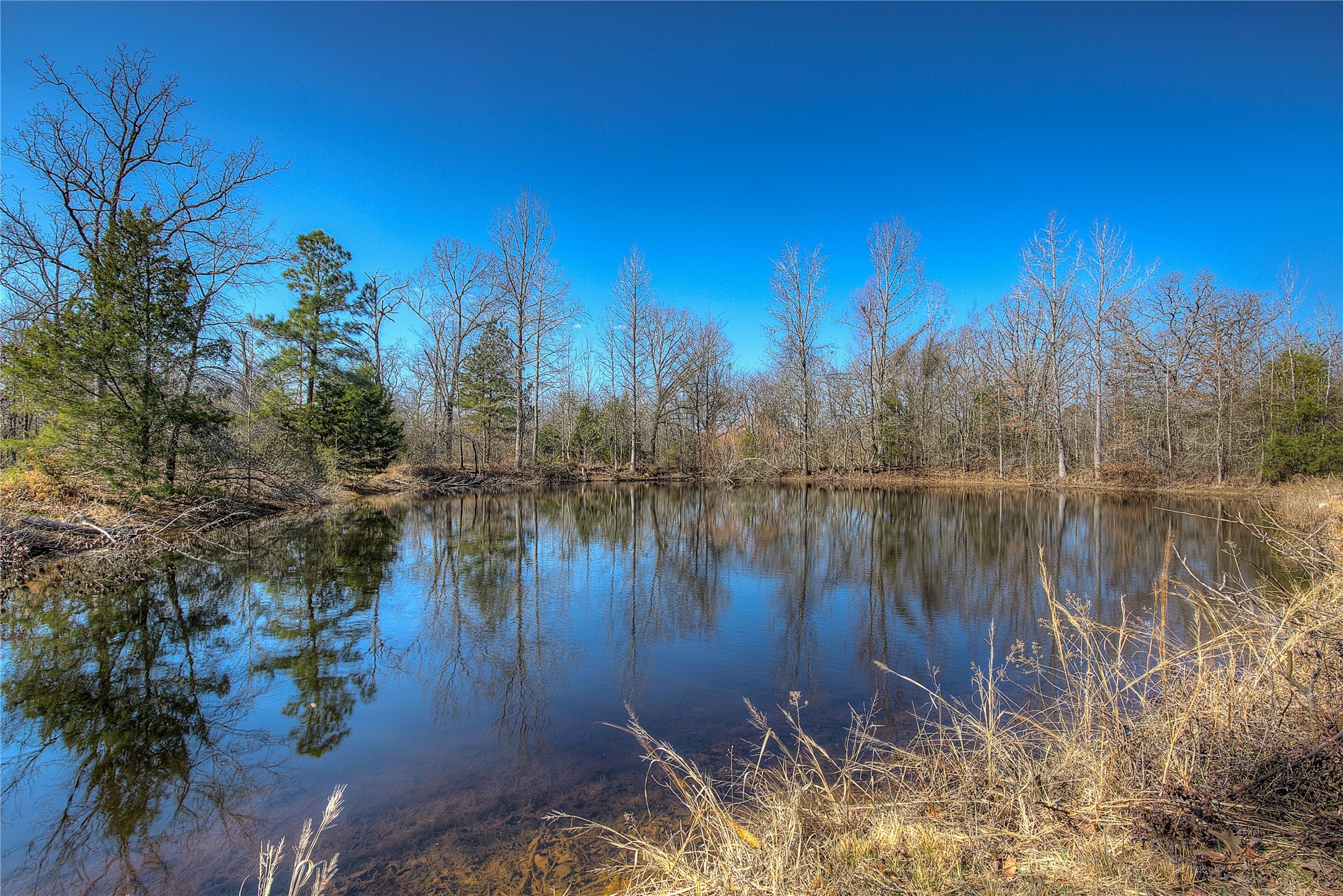 150 Vz County Road 1711 Grand Saline TX 75140