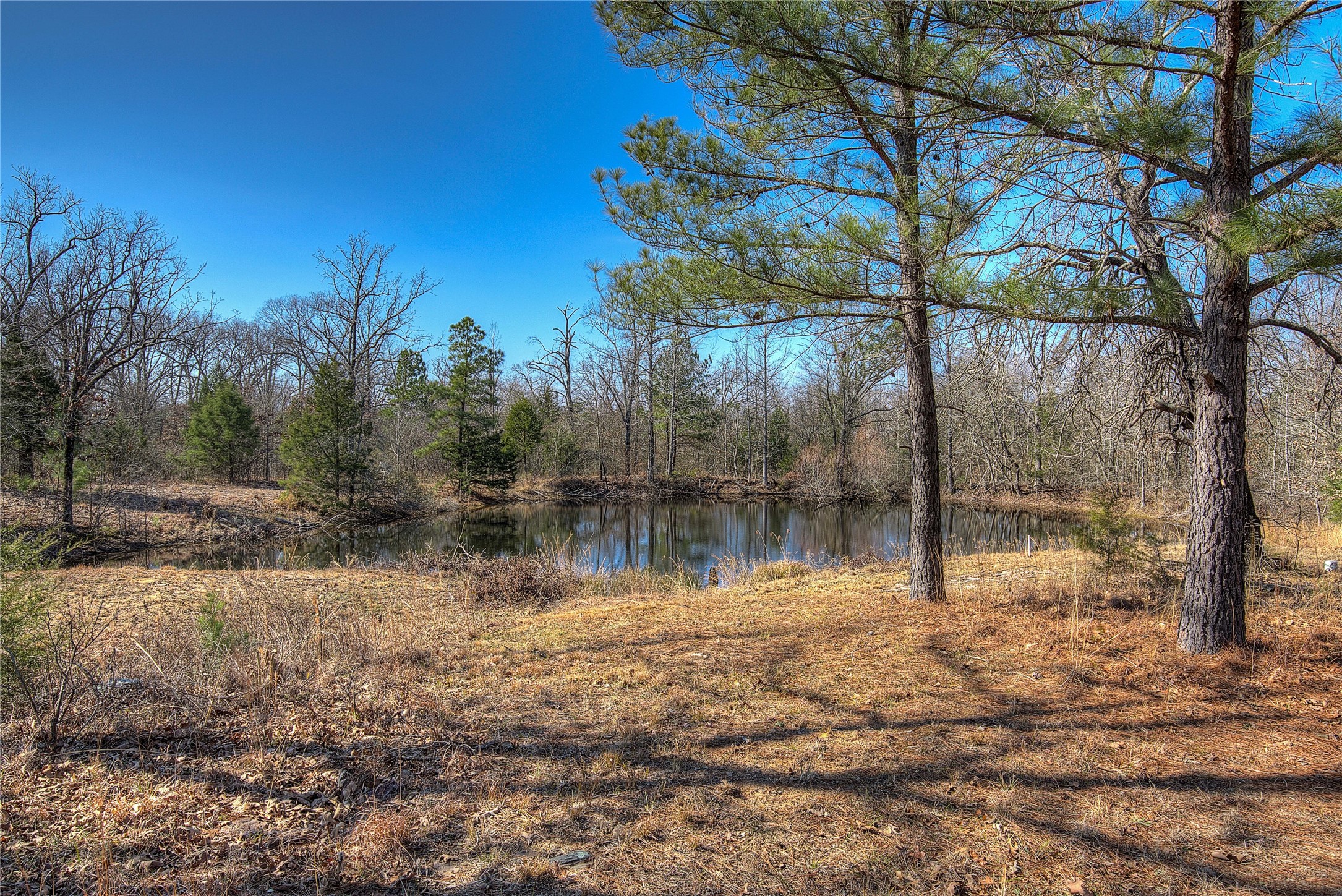 150 Vz County Road 1711 Grand Saline TX 75140