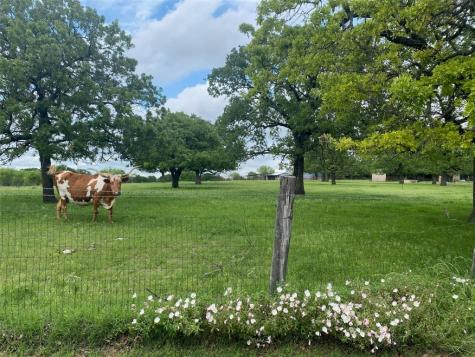 244 County Road 3250 Decatur TX 76234