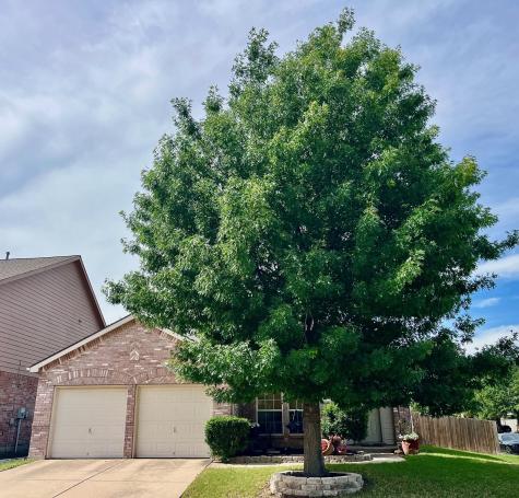 4324 Westbend Lane Fort Worth TX 76244