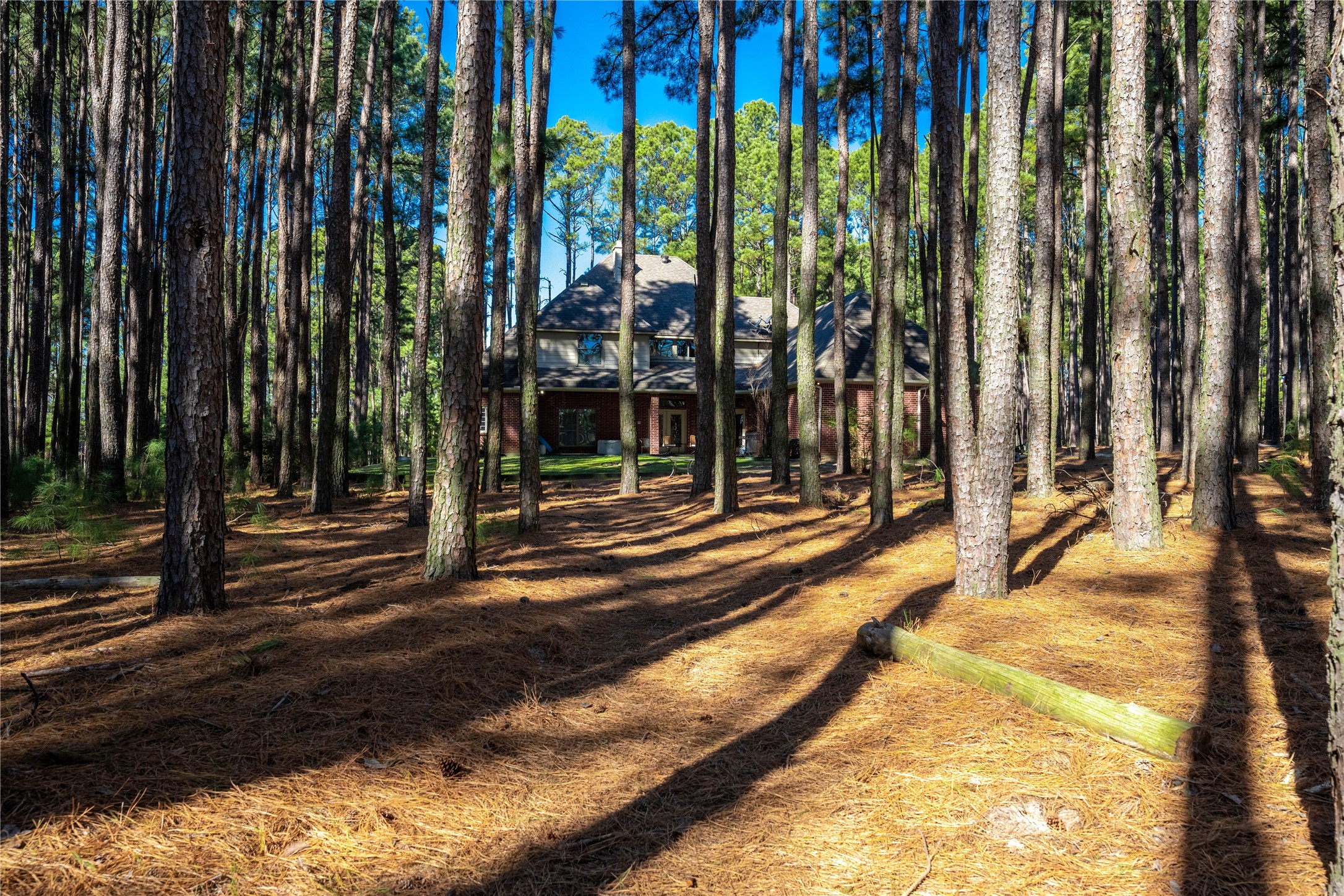 8489 Toler Point Larue TX 75770