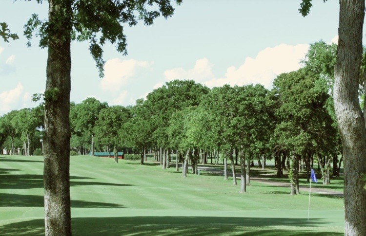 17535 Country Club Drive Kemp TX 75143