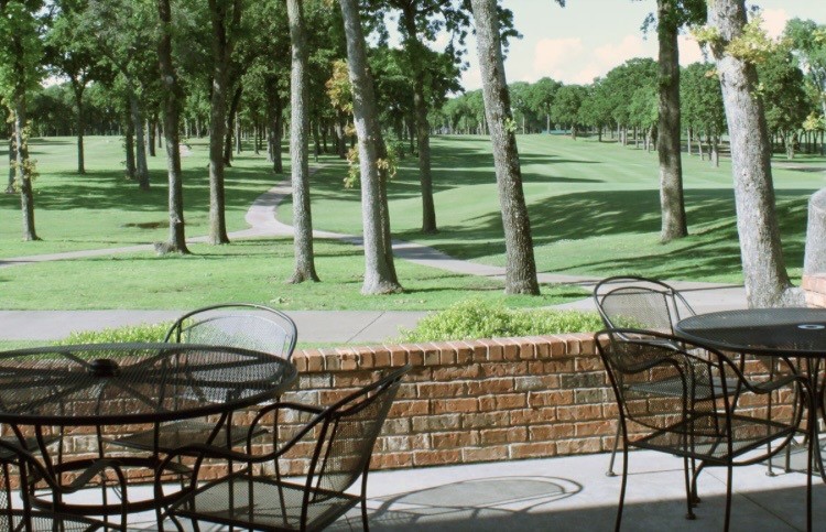 17535 Country Club Drive Kemp TX 75143