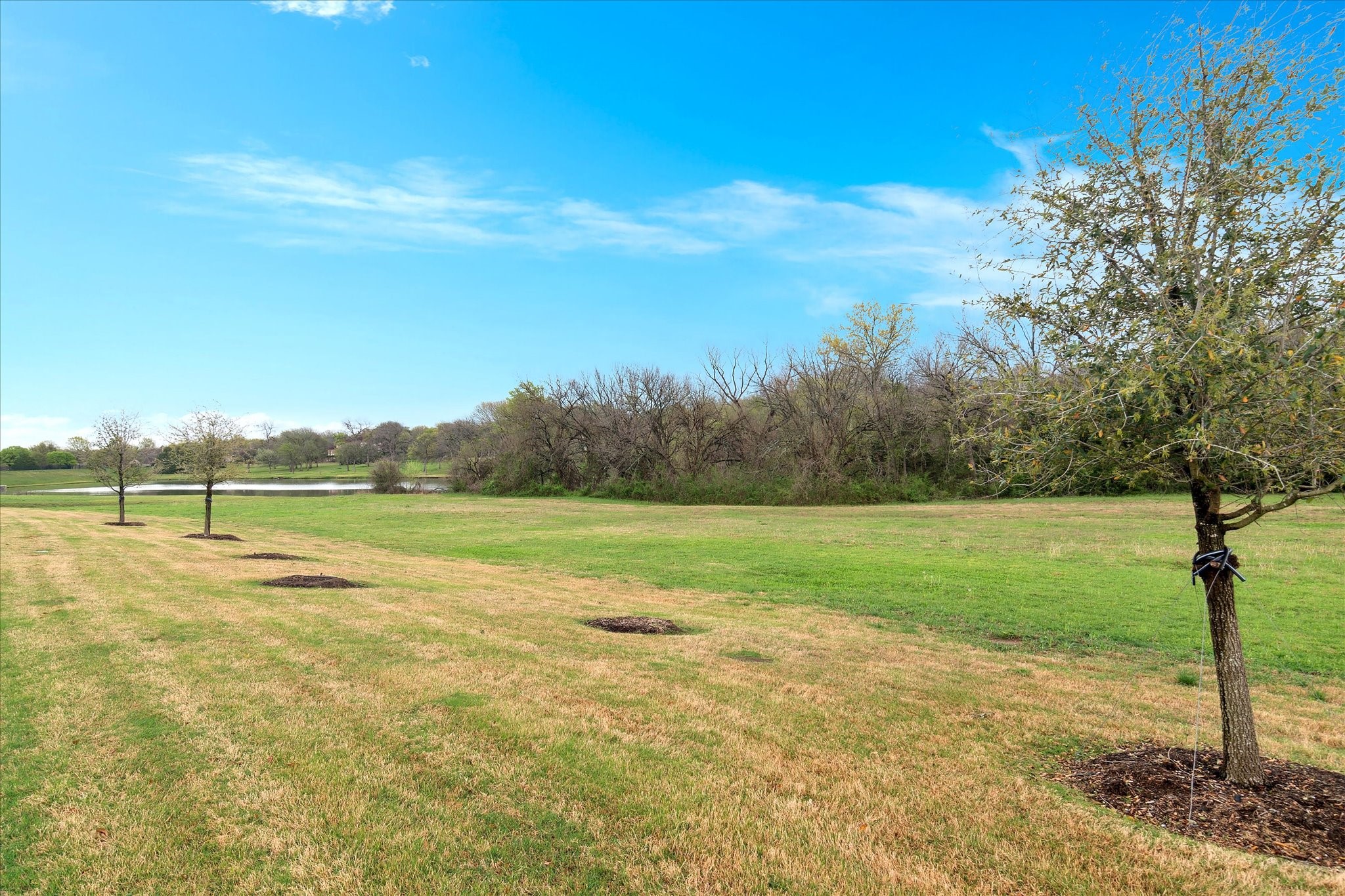 2720 Piersall Drive Mckinney TX 75072