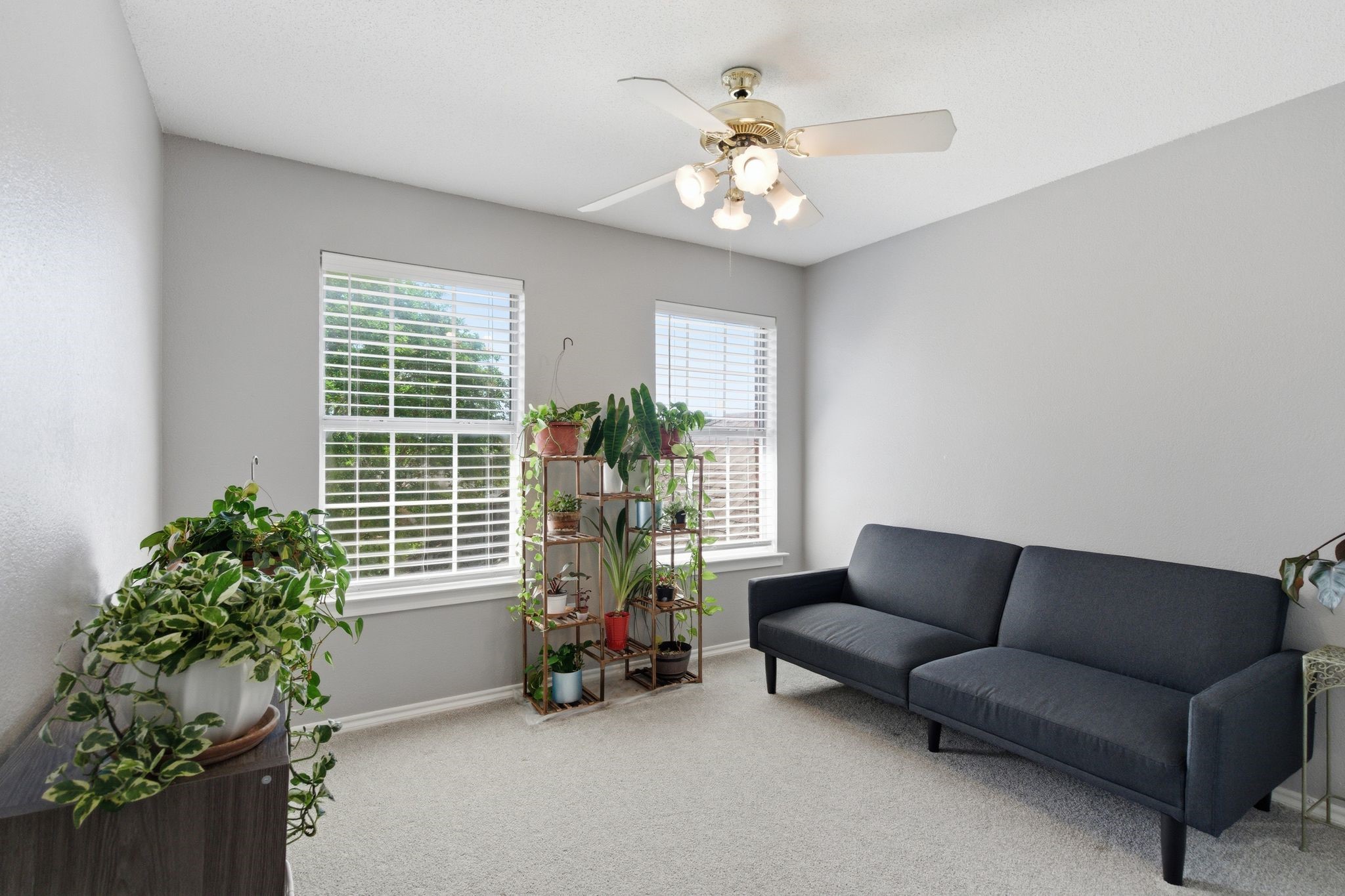 1214 Holly Hill Drive Grand Prairie TX 75052