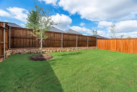 168 Ashbrook Street Little Elm TX 75068