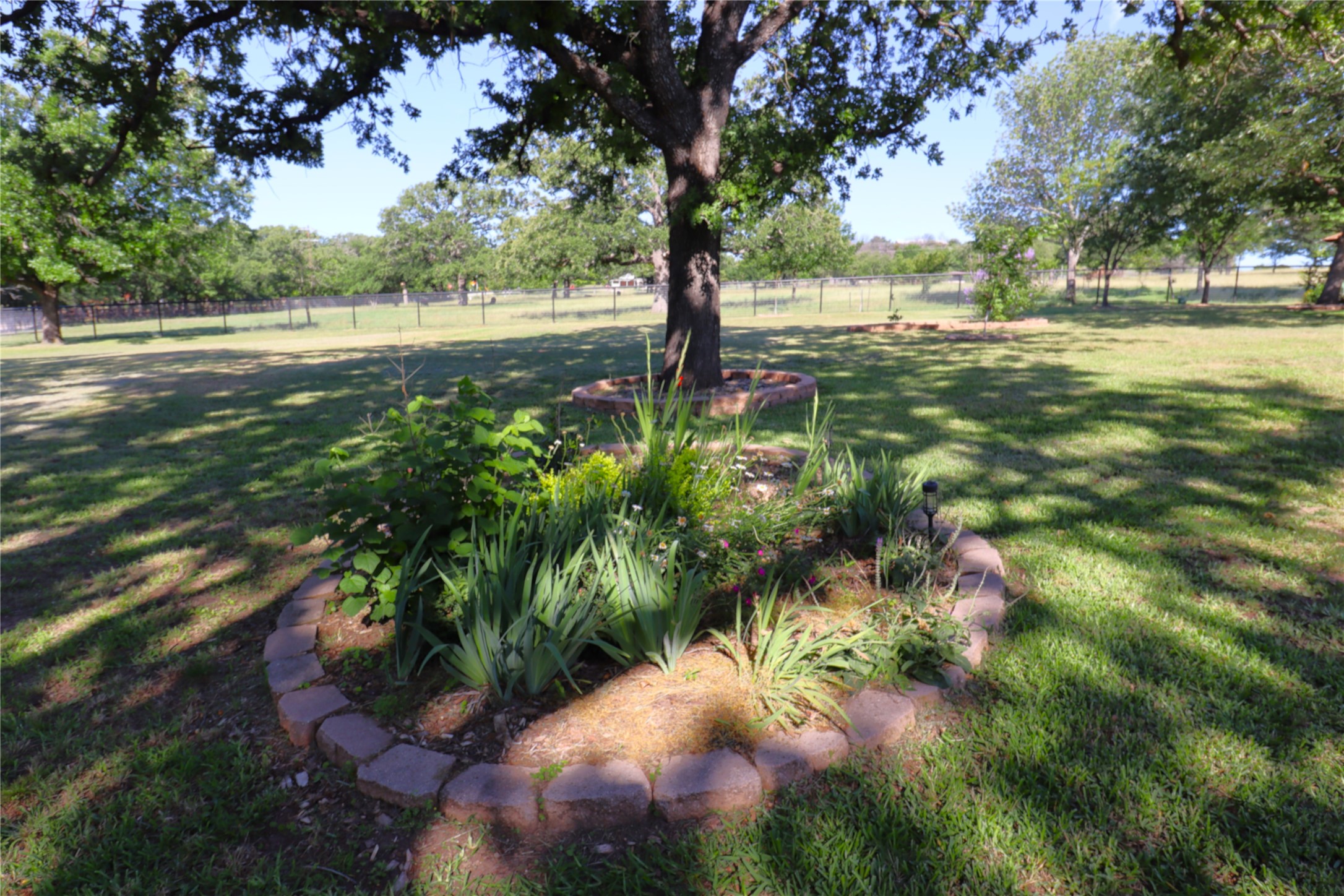 215 Younger Ranch Road Azle TX 76020