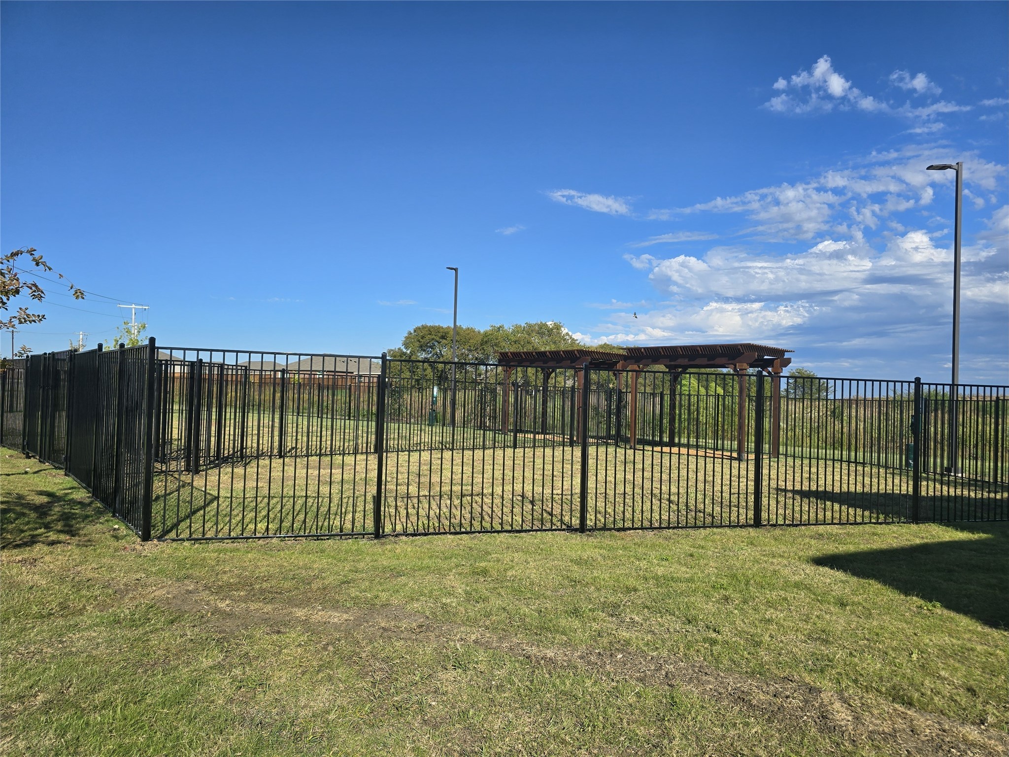 14017 Ilderton Street Pilot Point TX 76258