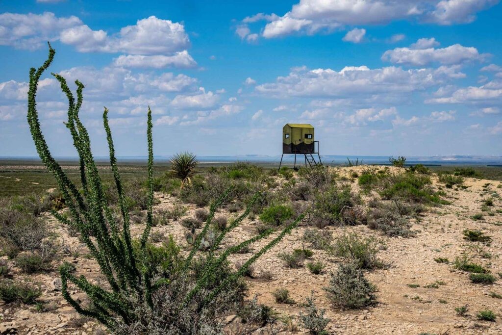 1,877 Acres Highway-67 Fort Stockton TX 79735