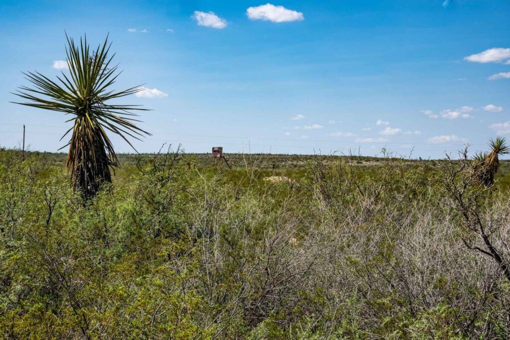 1,877 Acres Highway-67 Fort Stockton TX 79735
