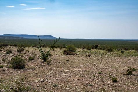 1,877 Acres Highway-67 Fort Stockton TX 79735