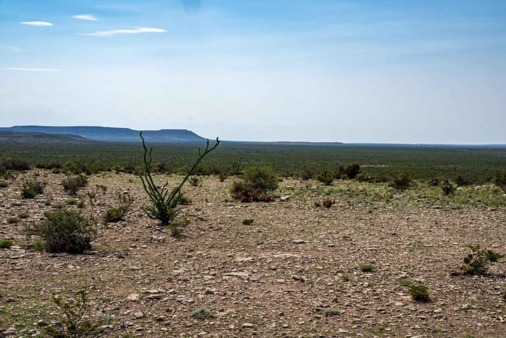 1,877 Acres Highway-67 Fort Stockton TX 79735