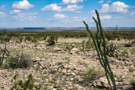1,877 Acres Highway-67 Fort Stockton TX 79735