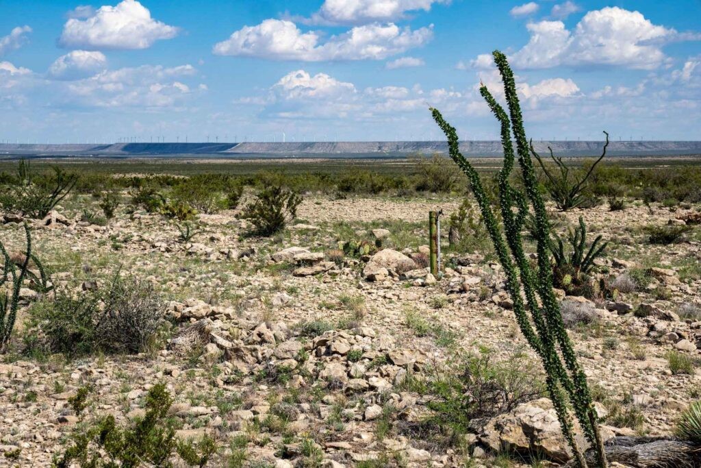1,877 Acres Highway-67 Fort Stockton TX 79735