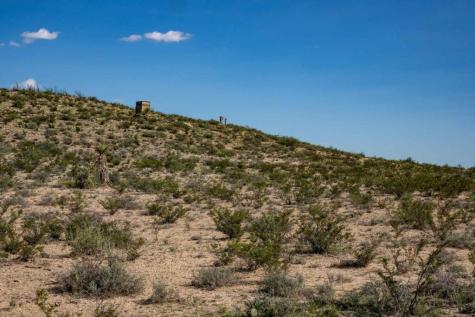 1,877 Acres Highway-67 Fort Stockton TX 79735