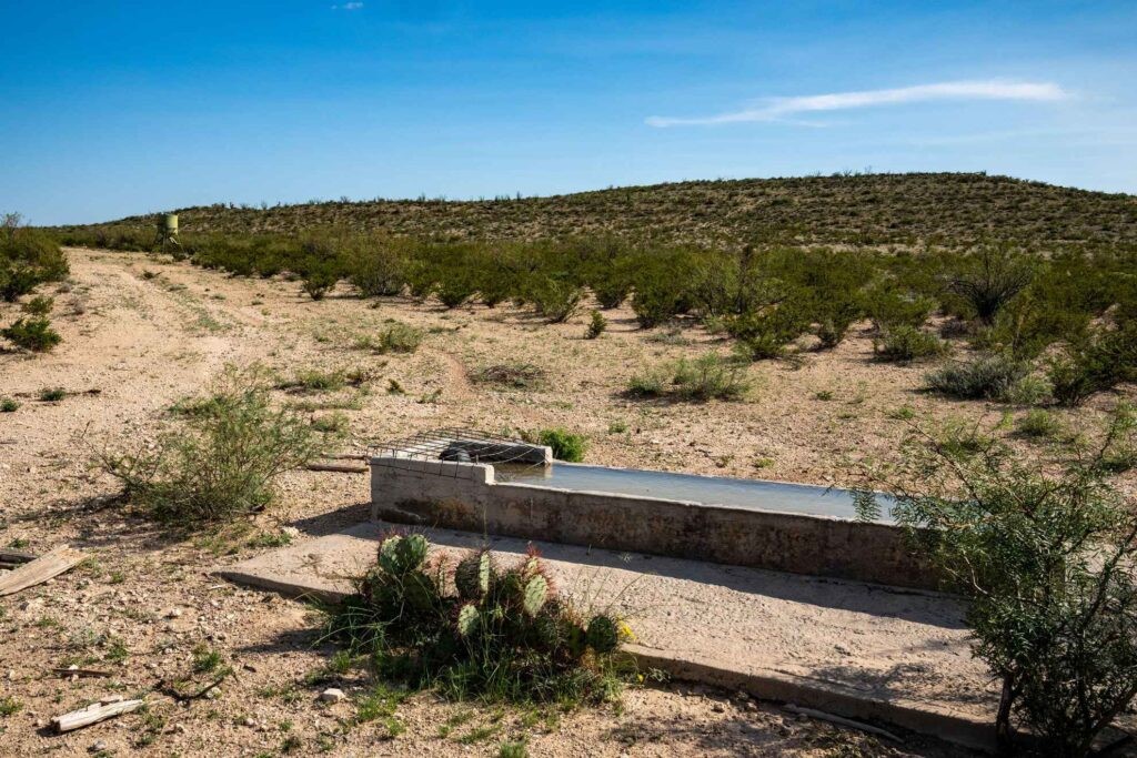 1,877 Acres Highway-67 Fort Stockton TX 79735
