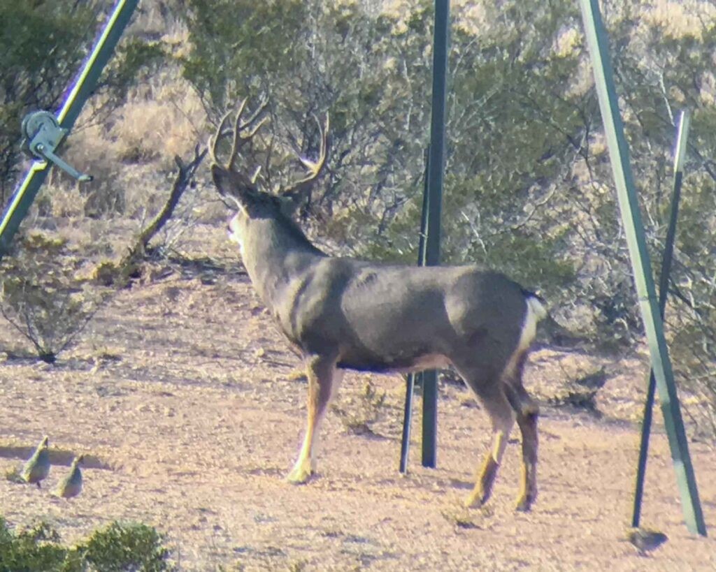 1,877 Acres Highway-67 Fort Stockton TX 79735