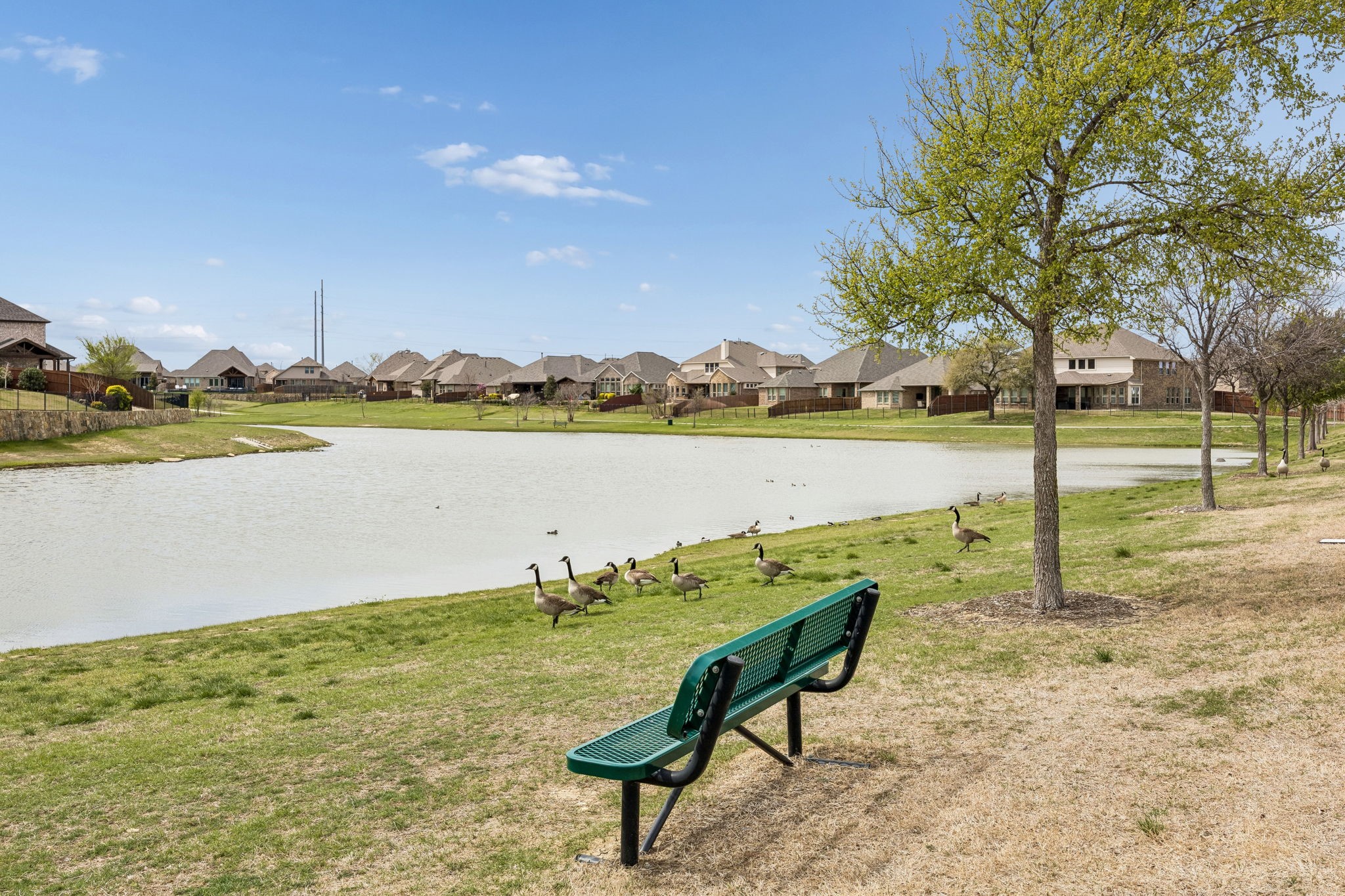 14537 Frog Lake Drive Fort Worth TX 76262