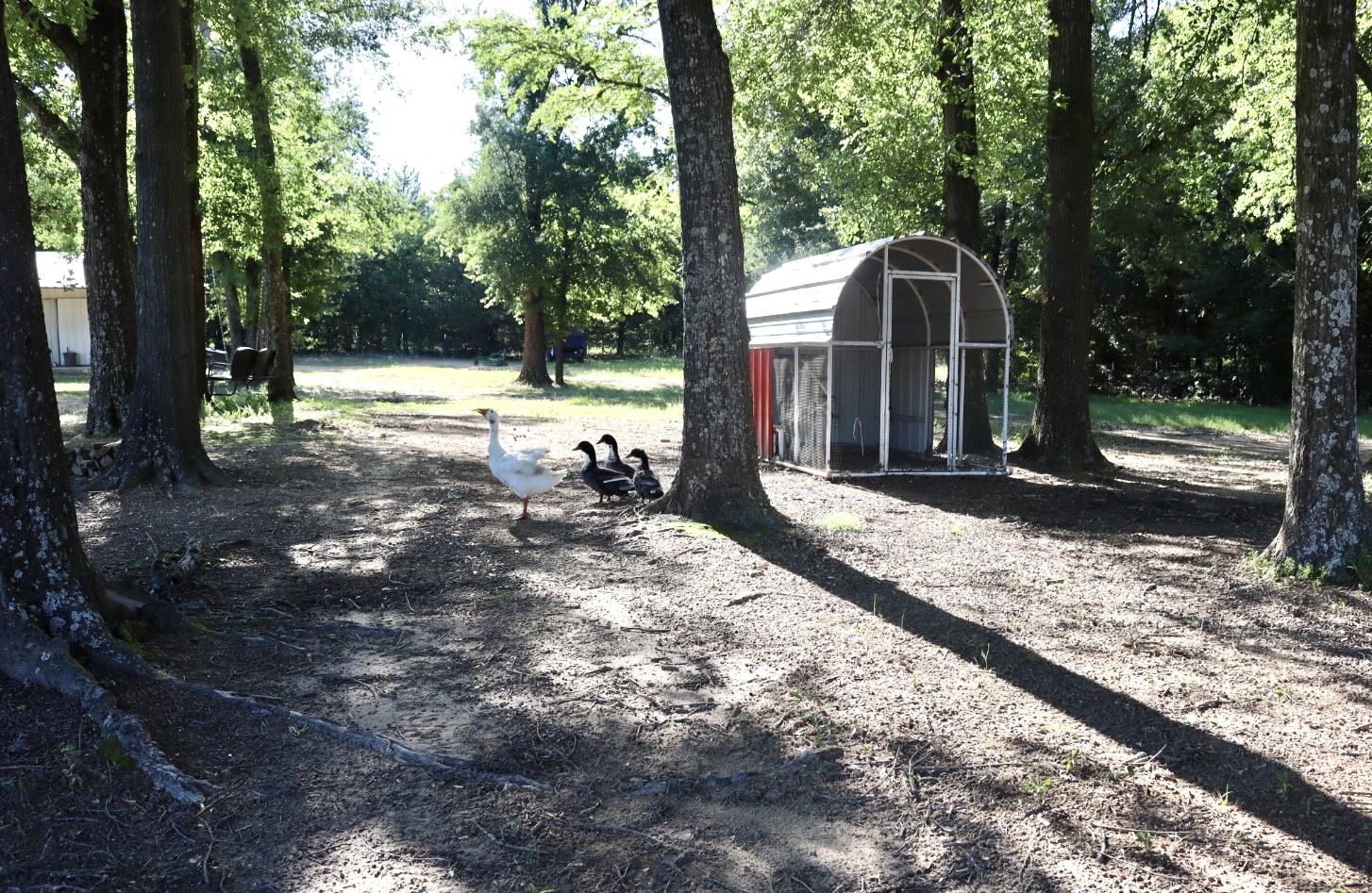 387 County Road 2101 Ivanhoe TX 75447