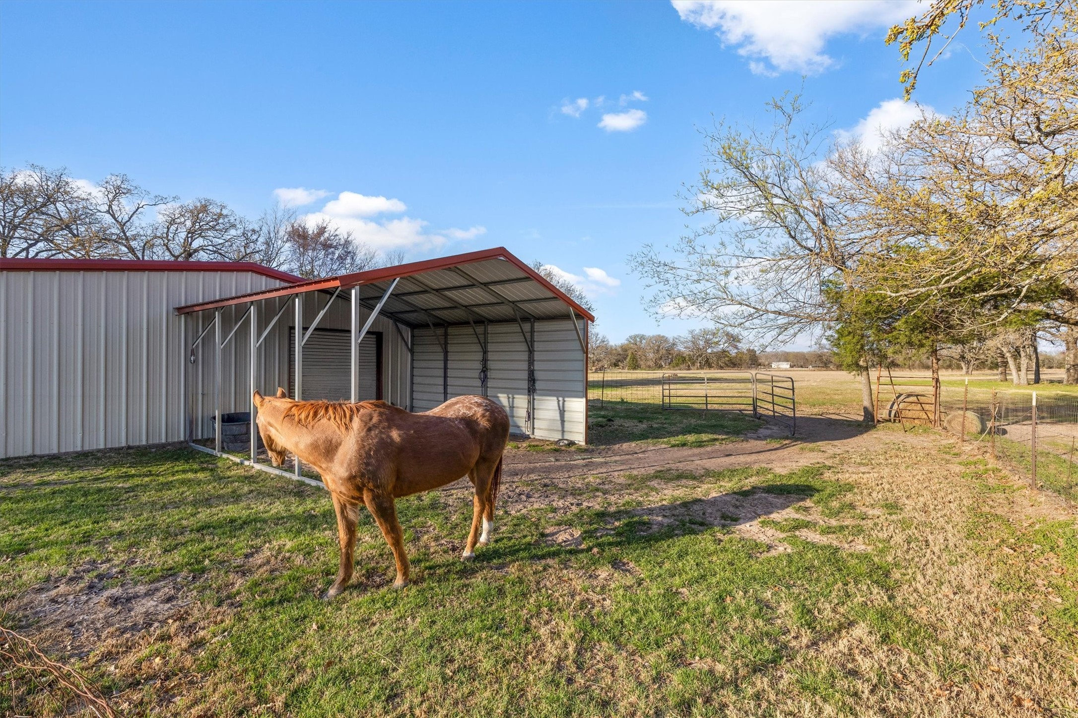 12586 County Road 351 Terrell TX 75161