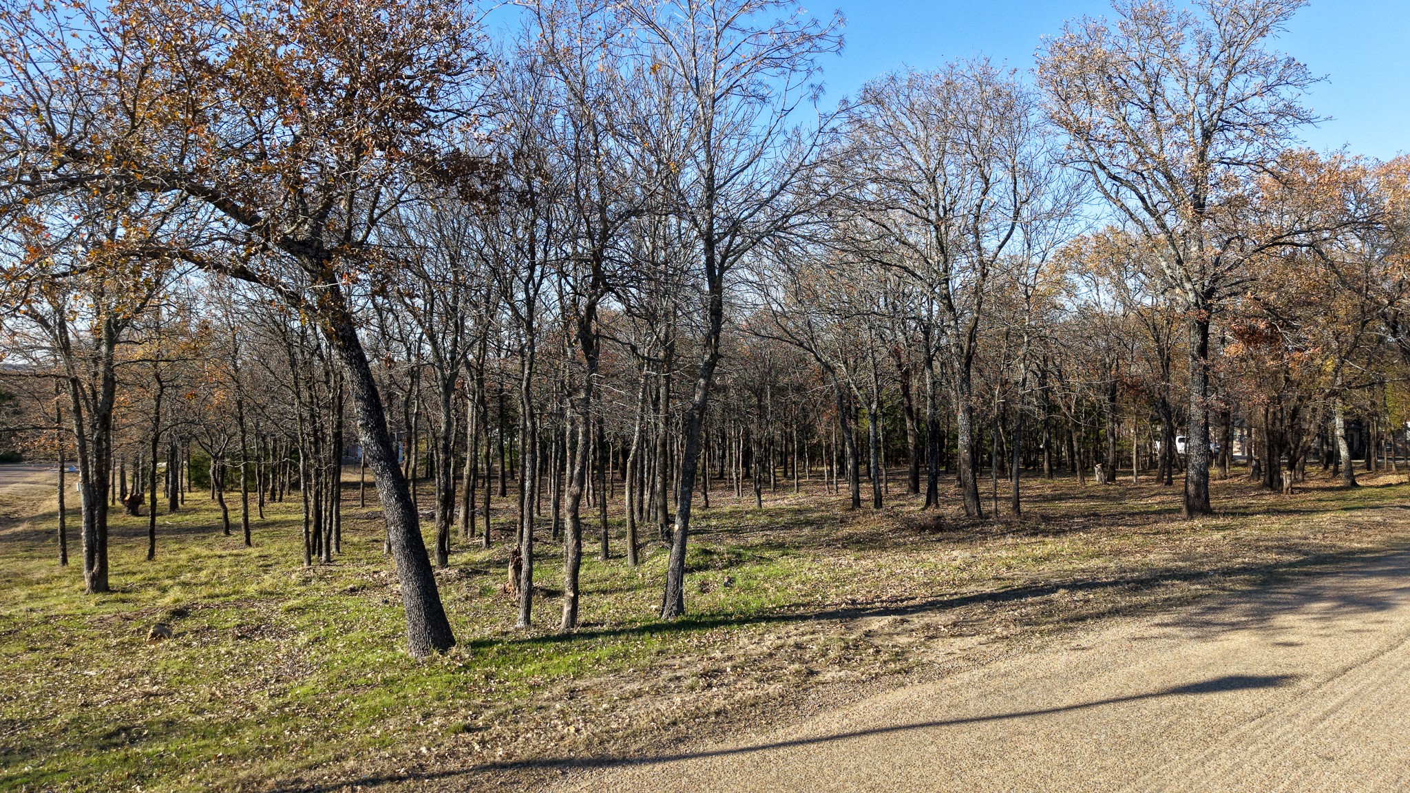 100 Oakmont Drive Mabank TX 75147