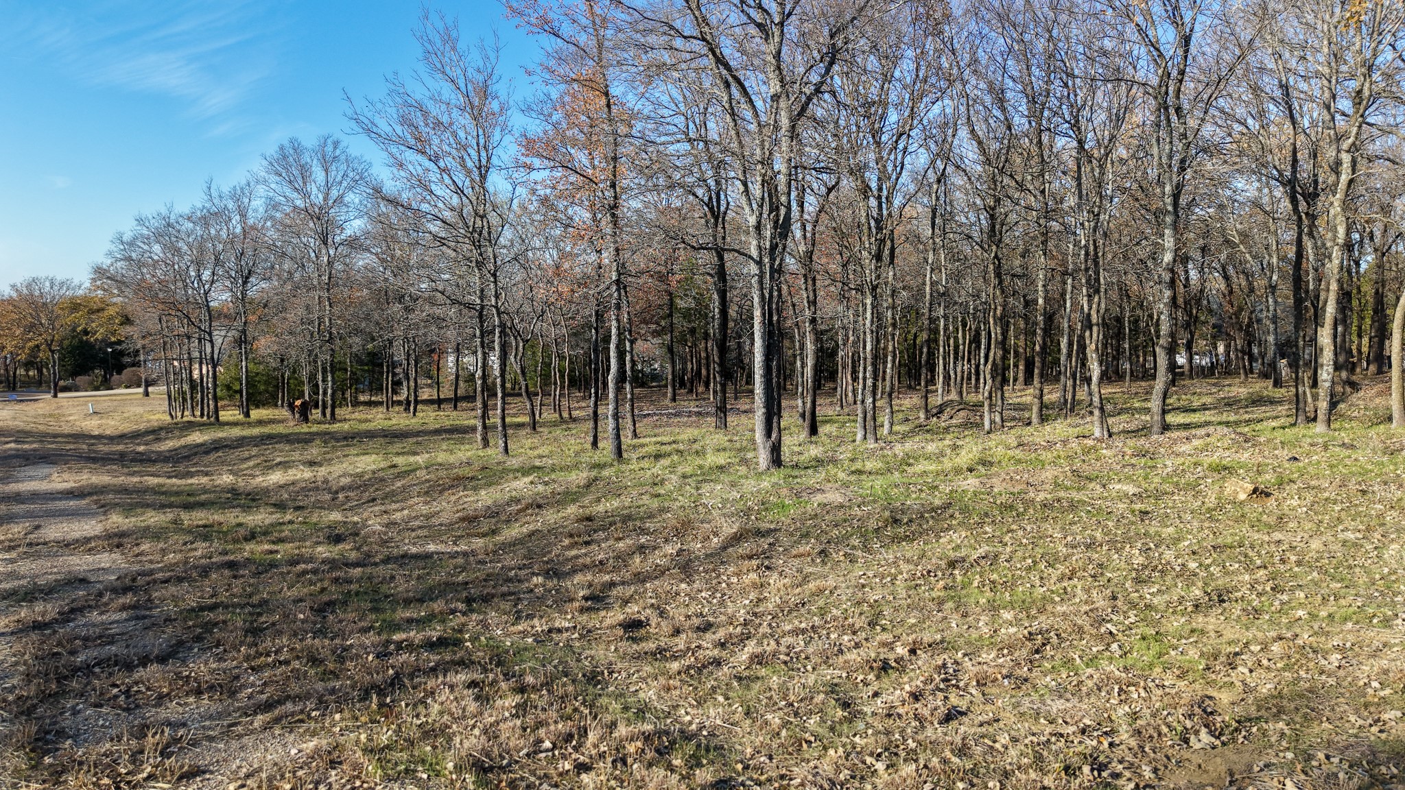 100 Oakmont Drive Mabank TX 75147