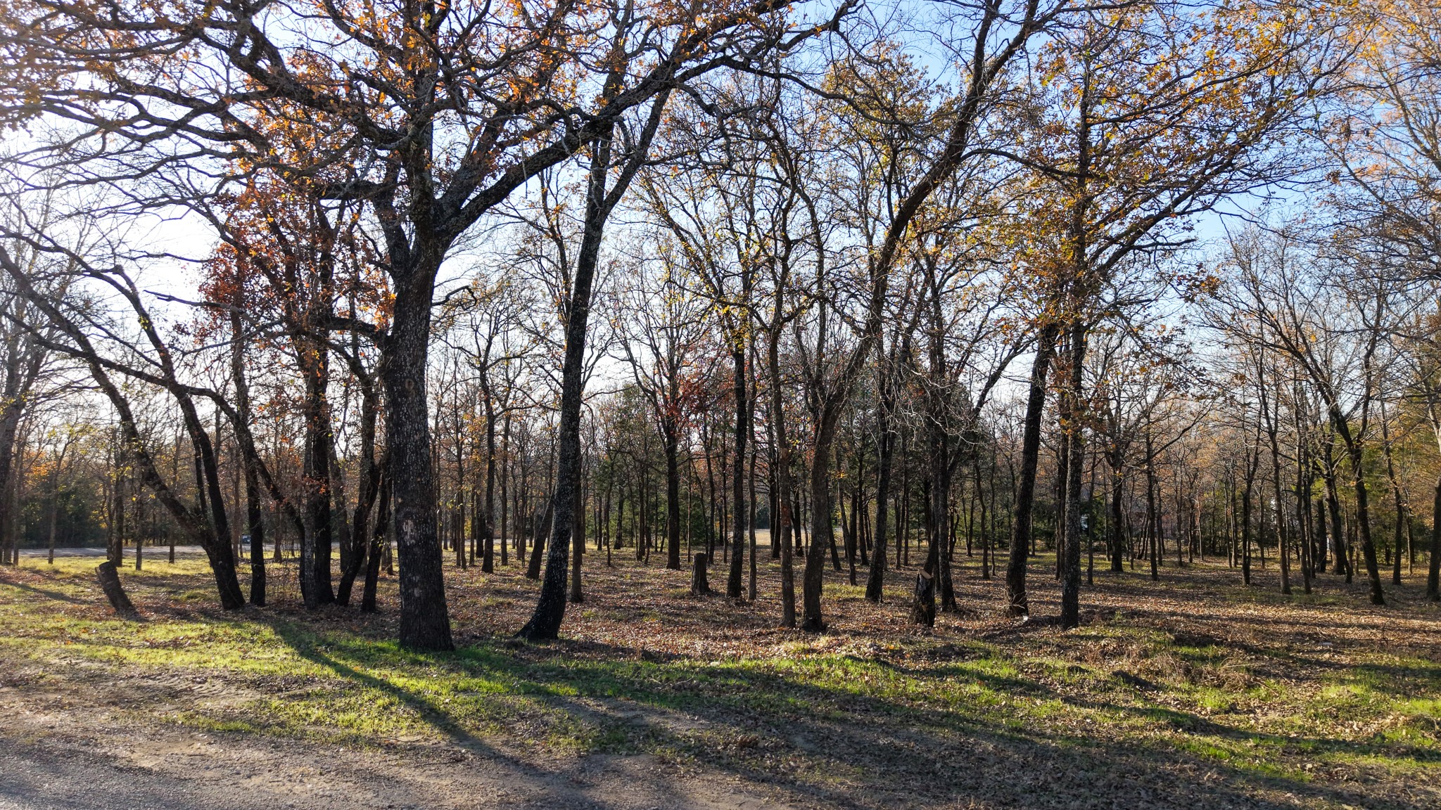 100 Oakmont Drive Mabank TX 75147