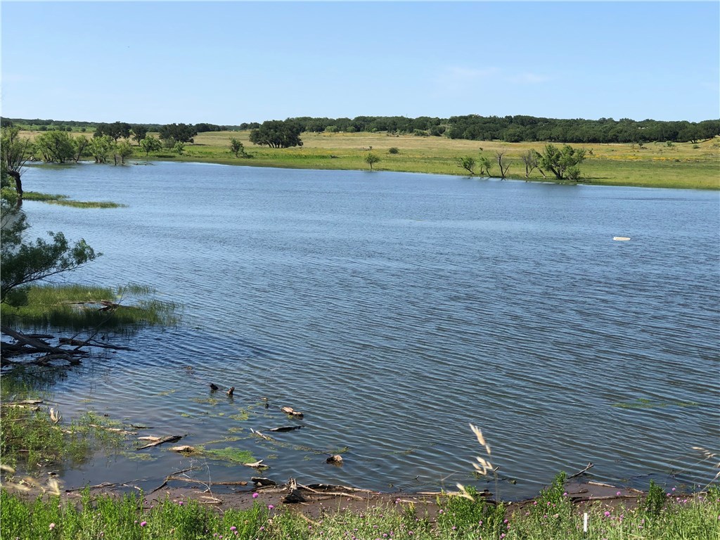 9200 County Road 237 Brownwood TX 76801