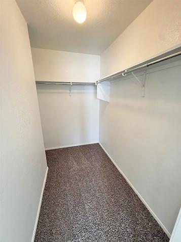 8900 Sagebrush Trail Cross Roads TX 76227