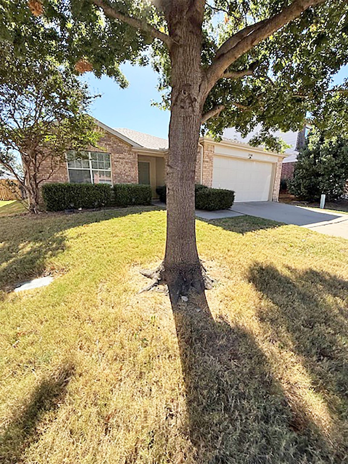 8900 Sagebrush Trail Cross Roads TX 76227