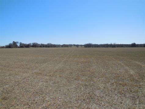 426 County Road 194 Eastland TX 76448
