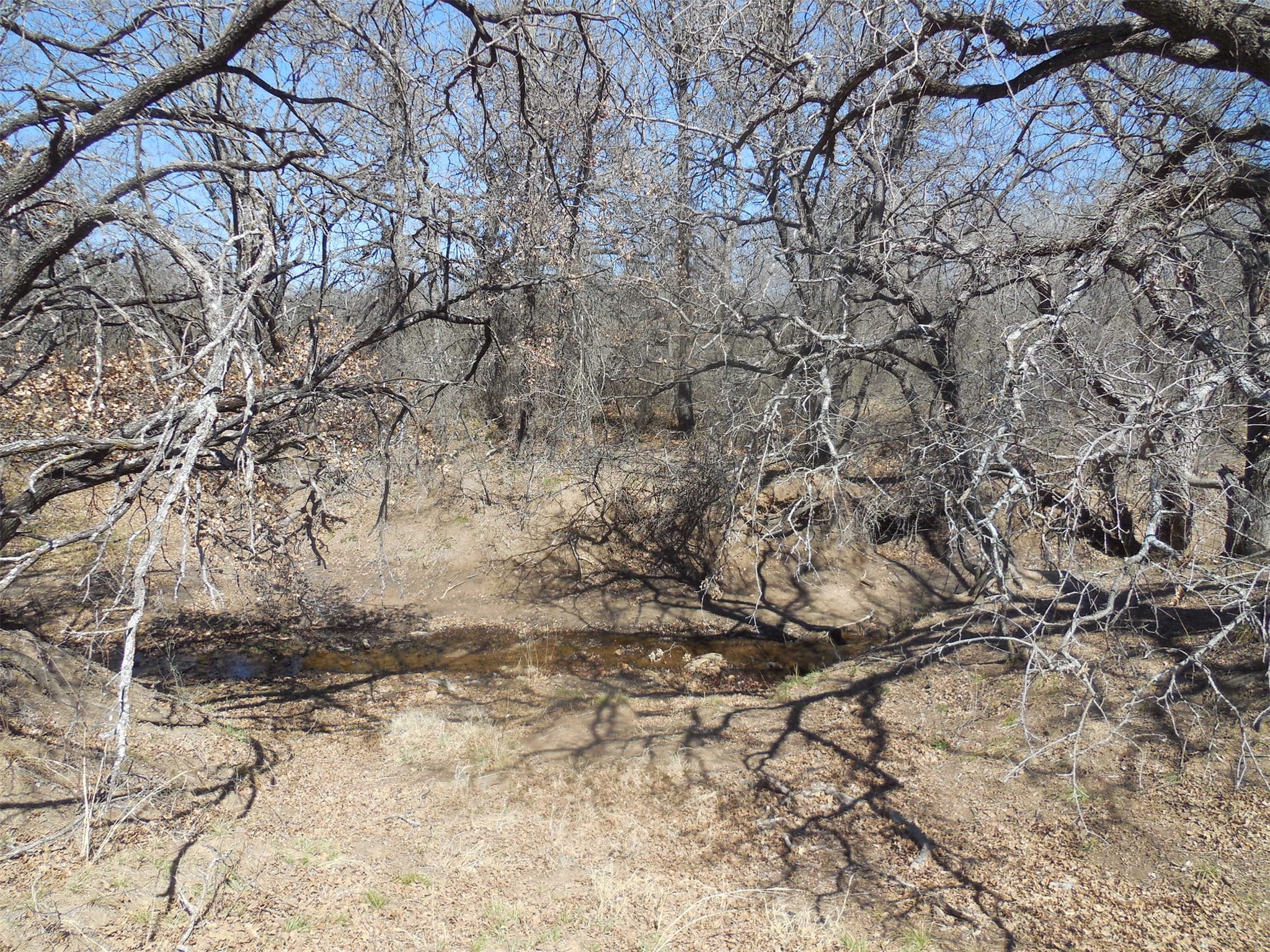 426 County Road 194 Eastland TX 76448